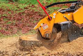 How Our Tree Care Process Works  in  Mukwonago, WI